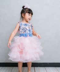 Dresses for Toddler Girls